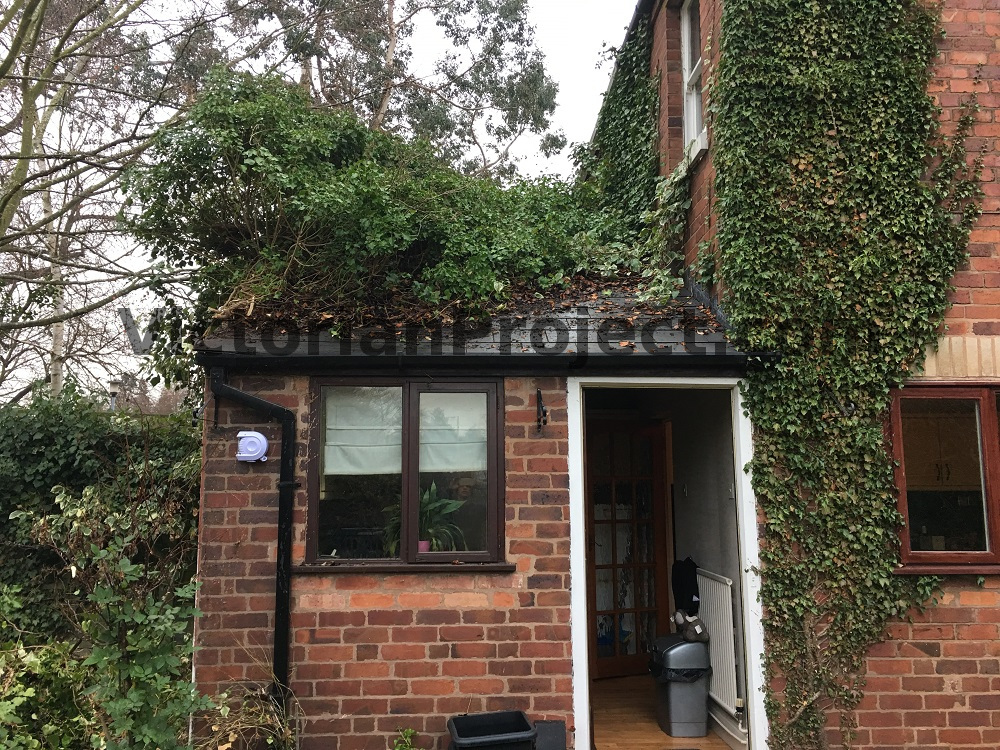 Victorian House Tree Damage